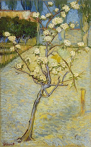 Vincent van Gogh, Kleiner blühender Birnbaum. Arles, April 1888. (Gogh,Vincent van,1853-1890,Amsterdam,Van Gogh - Museum,Öl auf Leinwand,19. Jahrhundert,Post-Impressionismus,natur,junger baum,blüte,blüten,baumblüte,frühling,jahreszeit,impressionistisch,birnenbaum,obstbaum)