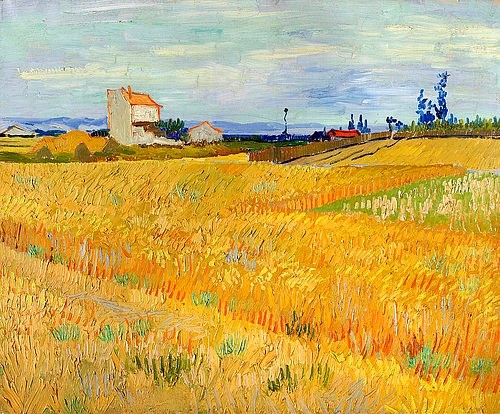 Vincent van Gogh, Weizenfeld (Champ de blé). 1888. (Gogh,Vincent van,1853-1890,Öl auf Leinwand,19. Jahrhundert,Landschaft,Post-Impressionismus,Amsterdam,Fondation De Boer,gelb,weizen,feld,ackerbau,ländlich,getreide,landwirtschaft,ähren,frankreich,französisch)