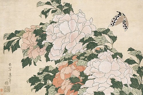 Katsushika Hokusai, Rosafarbene und rote Pfingstrosen und ein Schmetterling. (Hokusai,Katsushika,1760-1849,Christie's Images Ltd,19. Jahrhundert,18. Jahrhundert,Katsushika Hokusai,Oban yoko-e,Brise,Lüftchen,Hauch,Japan,japanisch,Pfingstrose,Pfingstrosen,pastellfarben,rosé,rose,rosa,Schmetterling,Blumen,zart,Asien)