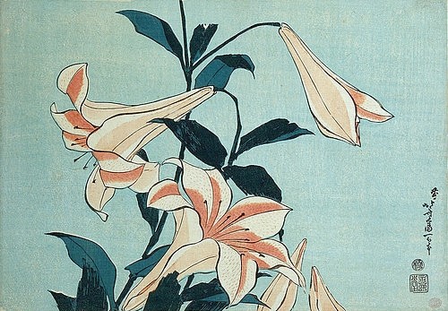 Katsushika Hokusai, Lilien. (19. Jahrhundert,18. Jahrhundert,Hokusai,Katsushika,1760-1849,Holzschnitt,Christie's Images Ltd,Katsushika Hokusai,Oban yoko-e,Lilie,Lilien,Japan,japanisch,Blüte,Blüten,Blumen,Trompetenlilie,Trompetenlilien,rosa,hellblau,Asien)