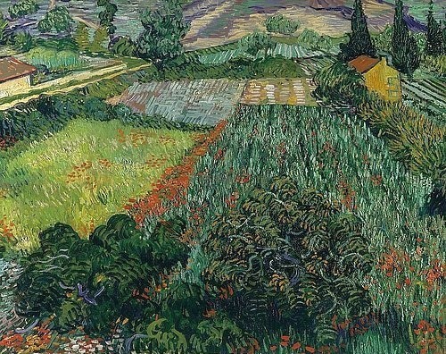 Vincent van Gogh, Mohnfeld. 1889. (Gogh,Vincent van,1853-1890,Öl auf Leinwand,19. Jahrhundert,Impressionismus,Post-Impressionismus,Kunsthalle Bremen,Kunsthalle Bremen - Der Kunstverein in Bremen.,28195 Bremen,natur,feld,sommer,sommerlich,felder,vegetation,landschaft,ländlich,idylle,impress)