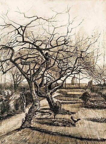 Vincent van Gogh, Der Garten des Pfarrhauses in Nuenen. 1884 (Gogh,Vincent van,1853-1890,Feder in Braun,19. Jahrhundert,Landschaft,Budapest,Szepmuveszeti Muzeum,Deckweißhöhungen,Gogh, Vincent, van,Pfarrgarten,Winter,Nuenen,Zeichnung,Baum,Bäume,Äste,verästelt,Verästelung,Pfarrkirche,Garten)