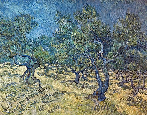 Vincent van Gogh, Olivenbäume (Les Oiliviers). 1889. (Olivenhain, Bäume, knorrig, mediterran, Garten, Klassische Moderne, Impressionismus, Wohnzimmer, Treppenhaus, Wunschgröße, bunt)