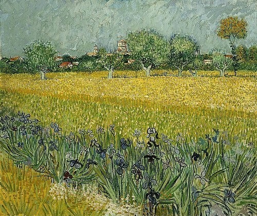 Vincent van Gogh, Feld mit Schwertlilien in der Nähe von Arles. Mai 1888. (Landschaft,Frühling,Post-Impressionismus,19. Jahrhundert,Öl auf Leinwand,Amsterdam,Van Gogh - Museum,Gogh,Vincent van,1853-1890,natur,landschaft,frankreich,bäume,idylle,sonnig,sommer,bäume,blumen,iris)