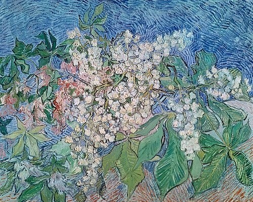 Vincent van Gogh, Blühende Kastanienzweige. 1890 (Frühling, Baum, Äste, Blüten,  Kastanienzweige, Klassische Moderne, Impressionismus, Wohnzimmer, Treppenhaus, Wunschgröße, bunt)