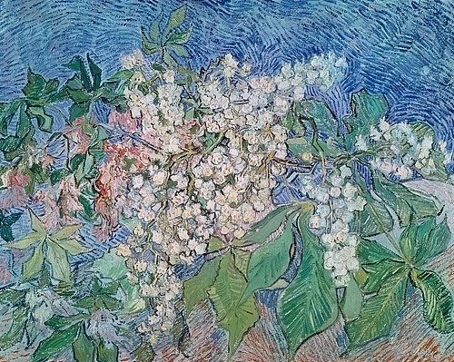 Vincent van Gogh, Blühende Kastanienzweige. 1890 (Frühling, Baum, Äste, Blüten,  Kastanienzweige, Klassische Moderne, Impressionismus, Wohnzimmer, Treppenhaus, Wunschgröße, bunt)