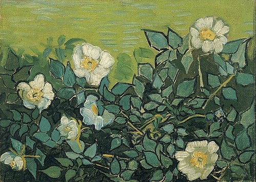 Vincent van Gogh, Wildrosen. 1889 (Gogh,Vincent van,1853-1890,Amsterdam,Van Gogh - Museum,Öl auf Leinwand,19. Jahrhundert,Post-Impressionismus,Vincent van Gogh,Rosen,Heckenrosen,weiß,blühen,Hecke,Blumen,Garten)