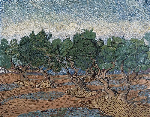 Vincent van Gogh, Olivenhain. 1889 (Gogh,Vincent van,1853-1890,Amsterdam,Van Gogh - Museum,Öl auf Leinwand,19. Jahrhundert,Landschaft,Post-Impressionismus,Vincent van Gogh,Saint-Rémy,Bäume,Olivenbaum,Olivenbäume,auf dem Land,Duktus,Pinselstriche,Farbauftrag,unregelmäßiges Wachstum,Stämme)