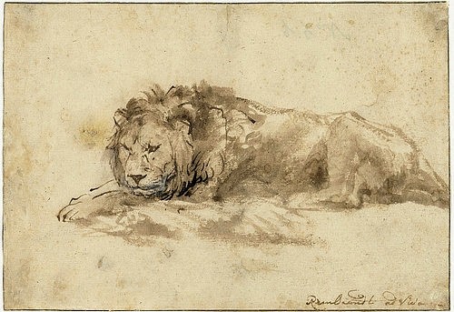 Rembrandt van Rijn, Liegender Löwe (Liggende leeuw). 1650-59 (Rembrandt van Rijn,1606-1669,Amsterdam,Rijksmuseum,Tuschpinsel,17. Jahrhundert,Tiere,Rembrandt Harmensz. van Rijn Löwe liegen, Tier Zeichnung)