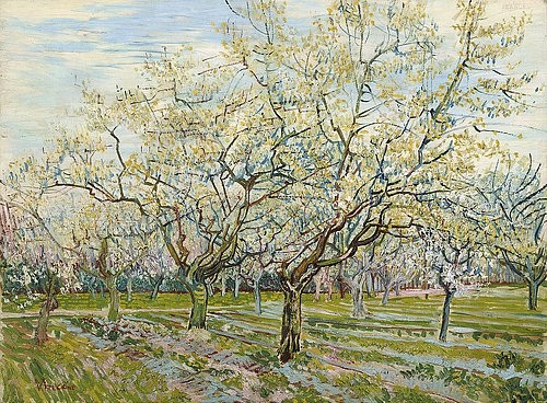 Vincent van Gogh, Der weiße Obstgarten. 1888 (Gogh,Vincent van,1853-1890,Amsterdam,Van Gogh - Museum,Öl auf Leinwand,19. Jahrhundert,Post-Impressionismus,Vincent van Gogh,Garten,Obstgarten,Obstbaum,Obstbäume,blühen,Blüte,weiß,Frühling)