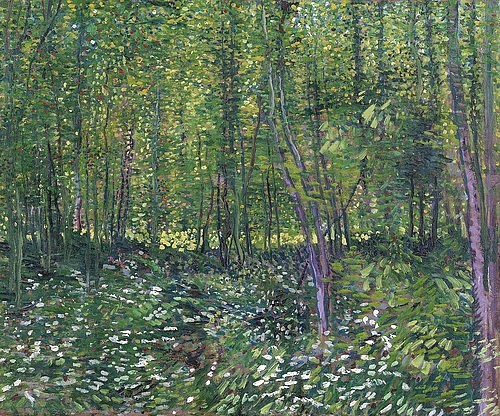 Vincent van Gogh, Bäume und Unterholz. 1887 (Landschaft,Wald,Post-Impressionismus,19. Jahrhundert,Öl auf Leinwand,Amsterdam,Van Gogh - Museum,1853-1890,Gogh,Vincent van,Vincent van Gogh,Pointillismus,pointillistisch,Wald,Farbtupfer,Licht,Schatten,Waldboden,Unterholz,dicht bewachsen,Natur,grün)