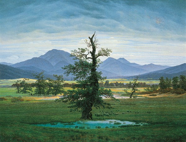 Caspar David Friedrich, DER EINSAME BAUM (Wunschgröße, Malerei, Romantik, Landschaft, Natur, Berge, Panorama, Ebene, Baum, Ruhe, Einsamkeit, Klassiker, Wohnzimmer, Schlafzimmer, Wunschgröße, bunt)