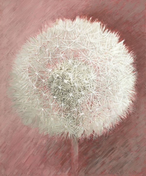 Elisabeth Verdonck, DANDELION CLOCK II (Malerei, Blumen, Natur, Blume, Löwenzahn, Pusteblume, Samen, Floral, Botanik, Wohnzimmer, Treppenhaus, Schlafzimmer, Wunschgröße, weiß / altrosa)