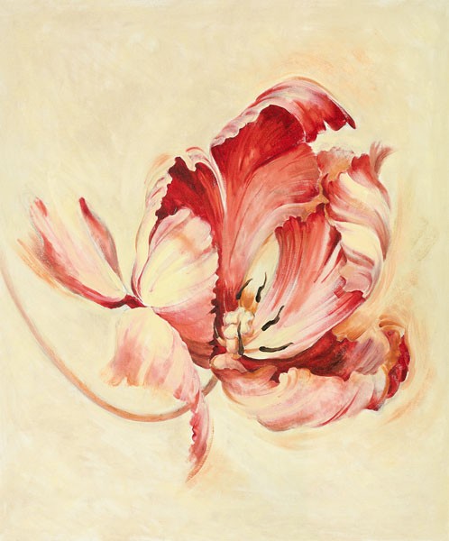 Elisabeth Verdonck, RED TULIP II (Malerei, Blumen, Blume, Tulpe, dynamisch, Floral, Wohnzimmer, Treppenhaus, Wunschgröße, weiß/ rosa)