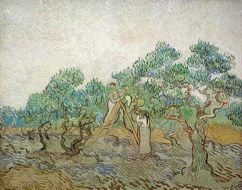 Vincent van Gogh, Der Olivengarten. 1889. (Gogh,Vincent van,1853-1890,Washington,National Gallery,Öl auf Leinwand,19. Jahrhundert,Post-Impressionismus,copyright Quint Lox Limited,bäume,olivenbäume,garten,olivenernte,frauen,ernte)