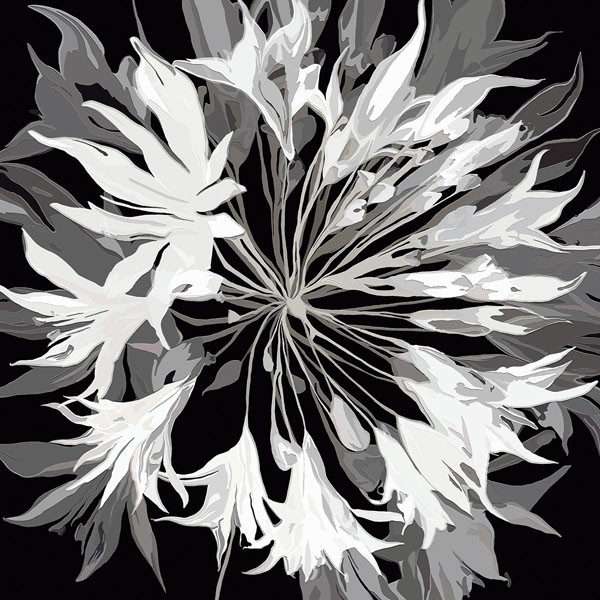 Sally Scaffardi, RADIANCE II (Blumen, weiße Dolde, Floral, Blüten, Blütenblätter, Malerei, Treppenhaus, Wohnzimmer, Schlafzimmer, Wunschgröße, schwarz/weiß)