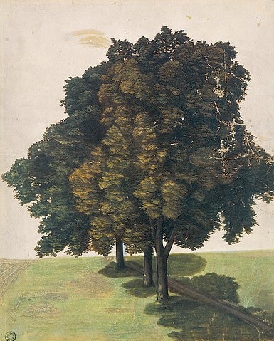 Albrecht Dürer, Drei Lindenbäume auf einer Wiese. Um 1494 (Aufnahme einer Lichtbildreproduktion von ca. 1910) (Dürer,Albrecht,1471-1528,15. Jahrhundert,Renaissance,deutsche,Kunsthalle Bremen,28195 Bremen,Aquarell und Deckfarben,Kunsthalle Bremen - Der Kunstverein in Bremen. Kupferstichkabinett,auf Papier,aufgezogen auf Papier,Vermächtnis Senator Hieronymus Klugkis)