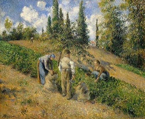 Camille Pissarro, Die Ernte, Pontoise. / La Récolte, Pontoise.1881. (französischer,Impressionismus,19. Jahrhundert,Öl auf Leinwand,1830-1903,Pissarro,Camille,New York,Metropolitan Museum,sommer,natur,landschaft,frankreich,bauern,feldarbeiter,sonne,sonnig,sonnenschein)