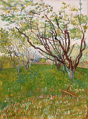 Vincent van Gogh, Blühender Obstgarten. 1888 (Gogh,Vincent van,1853-1890,New York,Metropolitan Museum,Öl auf Leinwand,19. Jahrhundert,Post-Impressionismus,Vincent van Gogh,Baum,Bäume,Obstbaum,Obstbäume,Obstgarten,Wiese,Blumenwiese,Blüte,blühen,Frühling,Wiesenblumen,Harke,friedlich,ruhig)