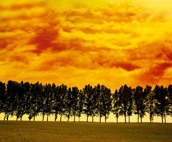 Gerd Weissing, ABENDROT I (Landschaft, Wolken, Himmel, Glühen, Bäume, Wolken, Wohnzimmer, Treppenhaus, Fotokunst, Wunschgröße, bunt)