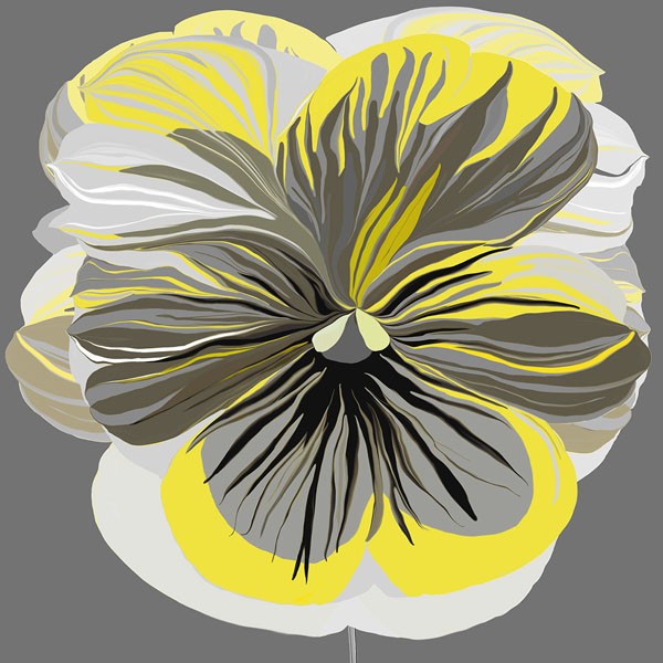 Sally Scaffardi, PANSIES II (Blumen, Stiefmütterchen, Floral, Blüten, Blütenblätter, Malerei, Treppenhaus, Wohnzimmer, Schlafzimmer, Wunschgröße, gelb/grau)