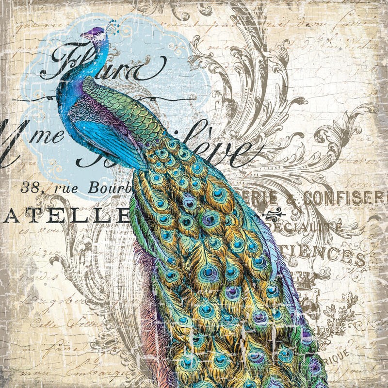 Ophelia & Co, PEACOCK I (Pfau, Pfauenfedern, Pfauenaugen, Vogel, stolz, Kalligrafie, Ornamente, Nostalgie, Grafik, Wunschgröße, Wohnzimmer, Treppenhaus, bunt)