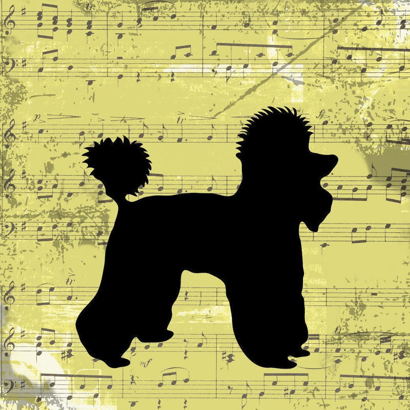 Taylor Greene, DOG III (Notenblatt, Hund, Pudel, Silhouette, modern, Grafik, Wunschgröße, Wohnzimmer, Jugendzimmer, gelb/schwarz)