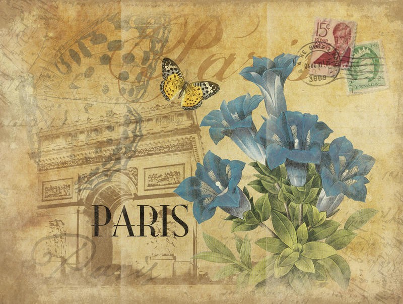 Jace Grey, PARIS II (Postkarte, Blumen, Schmetterlinge, Paris, Nostalgie, Wunschgröße, Grafik, Schlafzimmer, Treppenhaus, bunt)