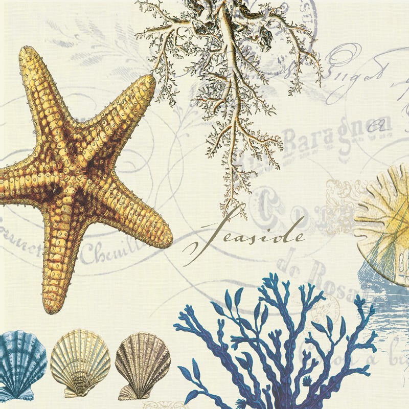 Tammy Repp, BY THE SEA I (MARITIM)