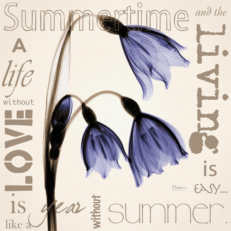 Albert Koetsier, SUMMERTIME II (X-RAY)
