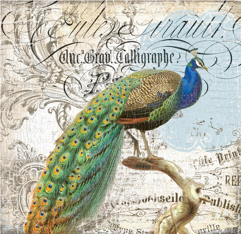 Ophelia & Co, PEACOCK II (Pfau, Pfauenfedern, Pfauenaugen, Vogel, stolz, Kalligrafie, Ornamente, Nostalgie, Grafik, Wunschgröße, Wohnzimmer, Treppenhaus, bunt)