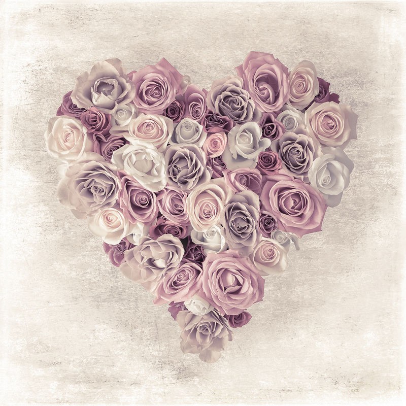 Assaf Frank, ROSE HEART (Rosen, Blumen,Herz, Liebe, zart, Hochzeit, Fotokunst, Wunschgröße, Schlafzimmer, Wohnzimmer, Treppenhaus, pastell, weiß/rosa)