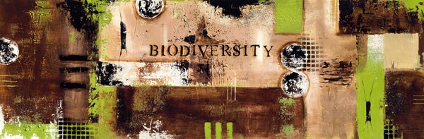 Severine Bugna, BIODIVERSITY (Abstrakt, Abstrakte Malerei, abstrakte Muster, Farbflächen, Wunschgröße, Business, Büro, Arztpraxs, bunt)