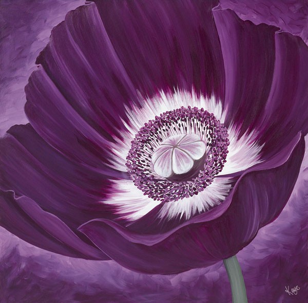 Kaye Lake, PURPLE PASSION II (Blume, Blüte, Mohnblume,  Wohnzimmer, Treppenhaus, Schlafzimmer, Malerei, Zeitgenössisch, Wunschgröße, violett)