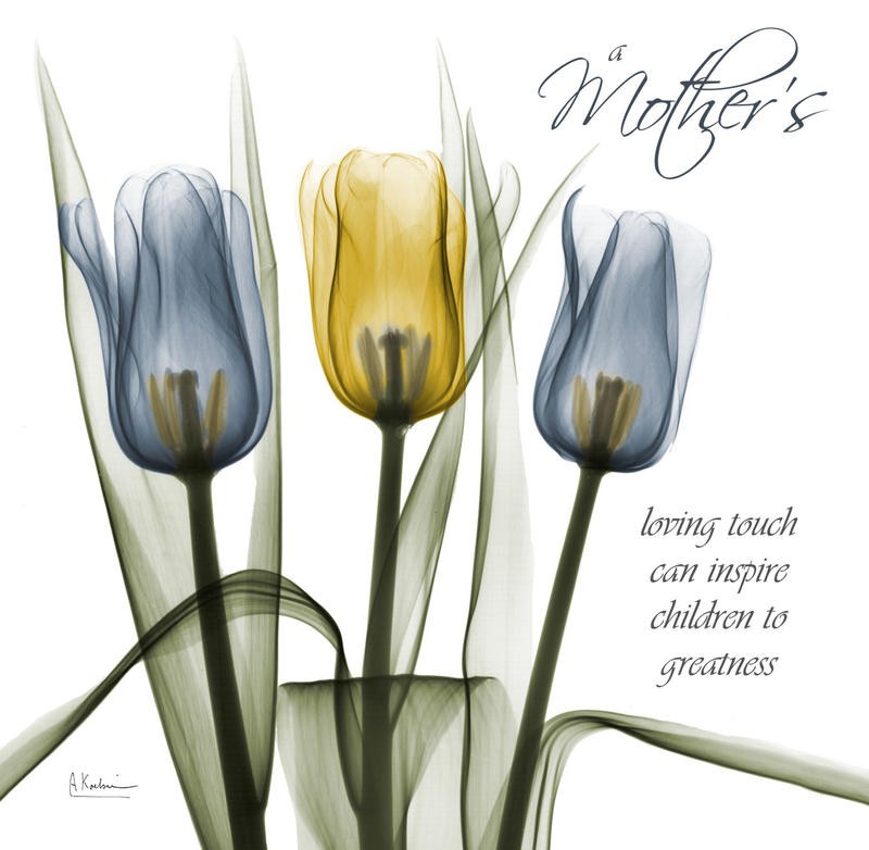 Albert Koetsier, TULIPS MOTHER I (X-RAY)