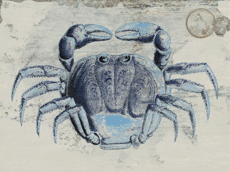 Sheldon Lewis, MYSTERIOUS CRUSTACEAN II (Krebs, Schalentier, Krabbe, Meerestier, maritim, Wunschgröße, Grafik, Badezimmer, Treppenhaus, Wohnzimmer, beige/blau)