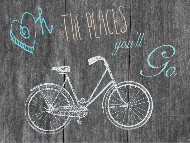 Sheldon Lewis, TRAVEL TRIO I (Fahrrad, Motivation, Inspiration, Holzpanele, Grafik, shabby, Treppenhaus, Wohnzimmer, Wunschgröße, bunt)