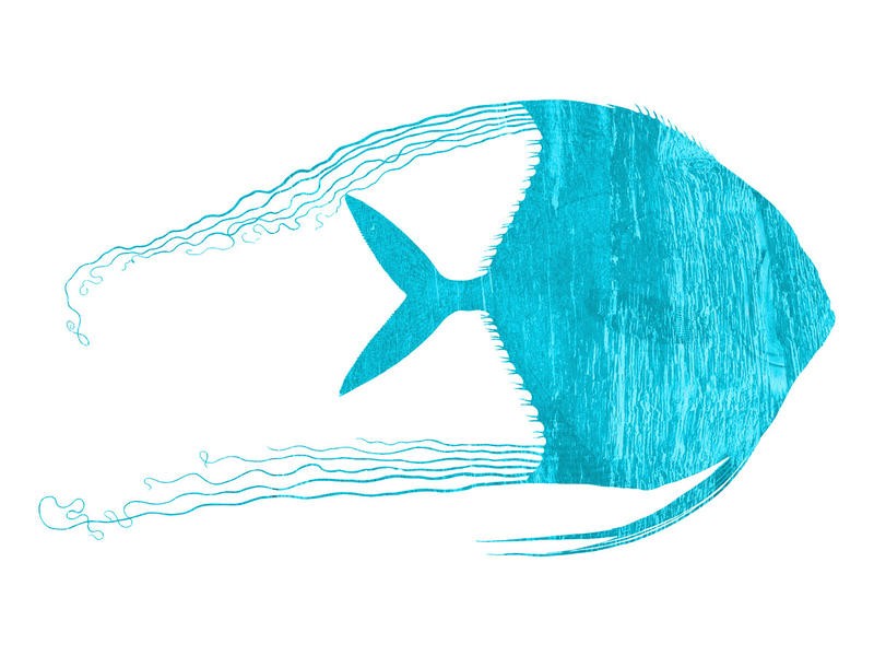 Sheldon Lewis, ANGEL BLUE II (Fisch, Meerestier, maritim, Grafik ,Scherenschnitt, Wunschgröße, Badezimmer, Treppenhaus, hellblau)