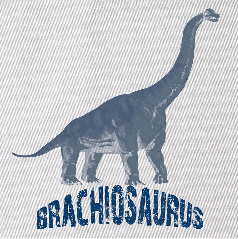 Sheldon Lewis, DINO II (Dinosaurier, Pflanzenfresser, Echse, Langhals, Sauropode, ausgestorben, Typologie, Wunschgröße, Grafik, Kinderzimmer, Treppenhaus, bunt)