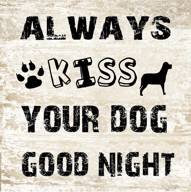 Sheldon Lewis, GOOD NIGHT DOG (Hund, Haustier, Tierliebe, Typografie, Inspiration, Treppenhaus, Schlafzimmer, Grafik, Wunschgröße, beige/schwarz)