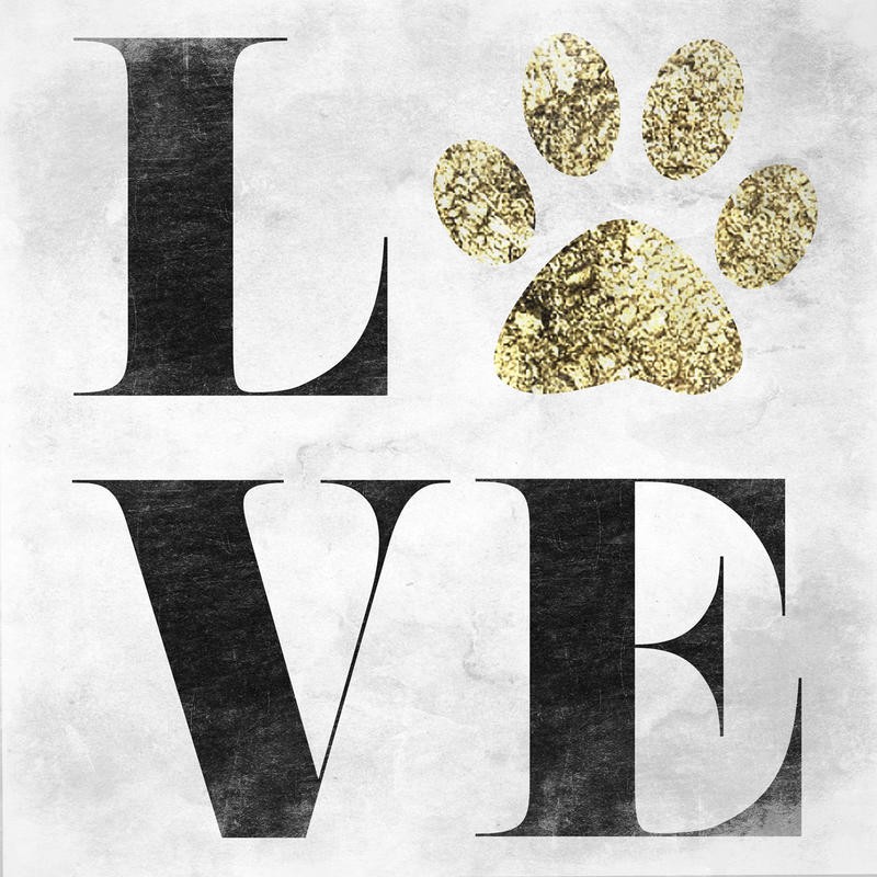 Sheldon Lewis, MY PET I (Hund, Haustier, Tierliebe, Liebe, Tapsen, Typografie, Inspiration, Treppenhaus, Schlafzimmer, Grafik, Wunschgröße, beige/schwarz)