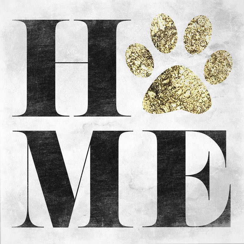 Sheldon Lewis, MY PET II (Hund, Haustier, Tierliebe, Liebe, Tapsen, Typografie, Inspiration, Treppenhaus, Schlafzimmer, Grafik, Wunschgröße, beige/schwarz)
