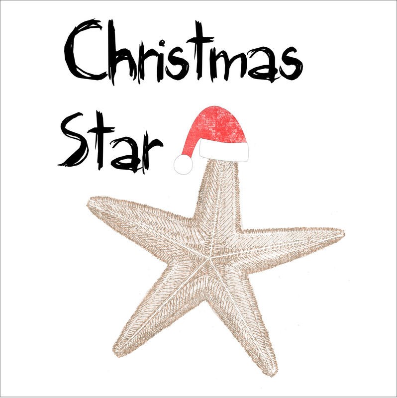 Sheldon Lewis, CHRISTMAS STAR (Stern, Seestern, Nikolausmütze, Weihnachten, witzig, lustig, Wunschgröße, Grafik, Treppenhaus, bunt)