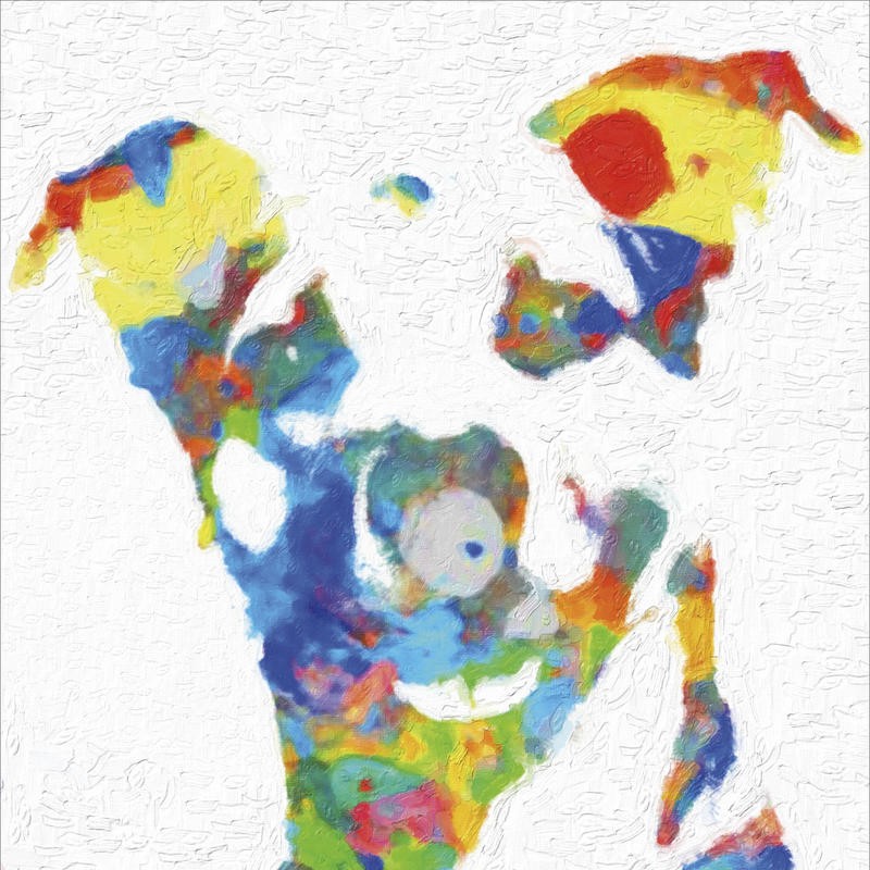 Taylor Greene, DOG COLORFUL III (Hund, Tier, Kopf, Portrait, Pop Art, Fotokunst, Grafik, Wunschgröße, Treppenhaus, Wohnzimmer, bunt)