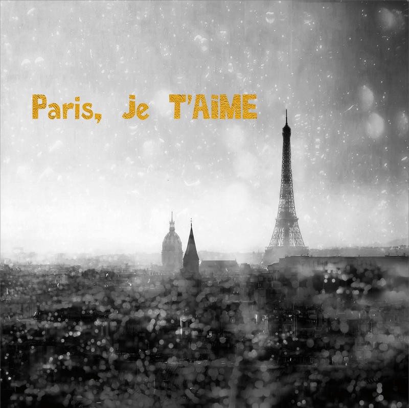 Tracey Telik, PARIS JE TAIME I (Paris, Panorama, Eiffelturm, Städte, Metropole, Wahrzeichen, Architektur,diffus, Dunst, Wunschgröße, Wohnzimmer, Fotokunst,)