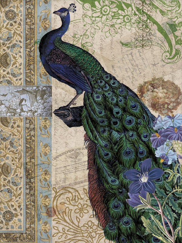 Tammy Repp, PEACOCK BROCADE I (VÖGEL)