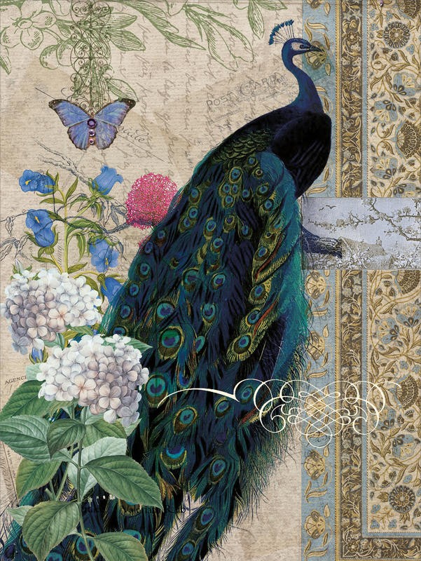 Tammy Repp, PEACOCK BROCADE II (VÖGEL)