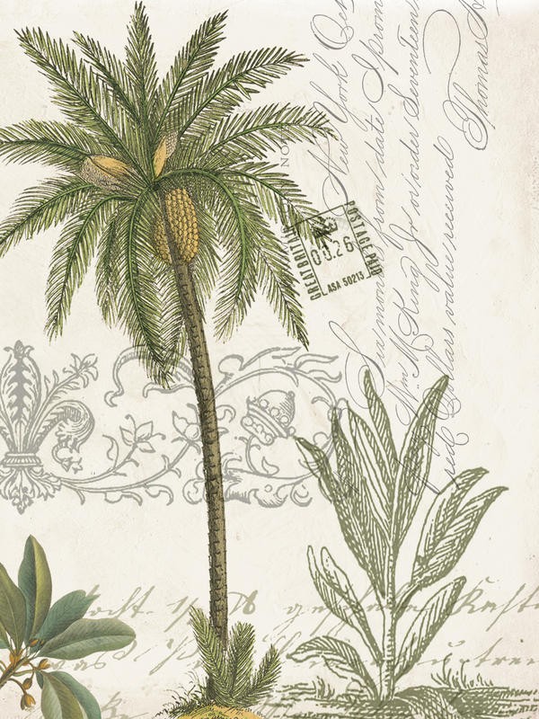 Tammy Repp, PALM RECTANGLE I (MARITIM)