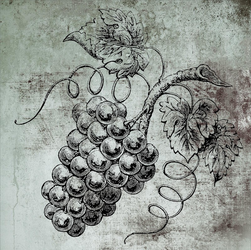 Victoria Brown, VIN ROUGE II (Trauben, Rebe, Früchte, Vintage, Nostalgie, Grafik, Esszimmer, Küche, Bar, Gastronomie, Wunschgröße, grau)