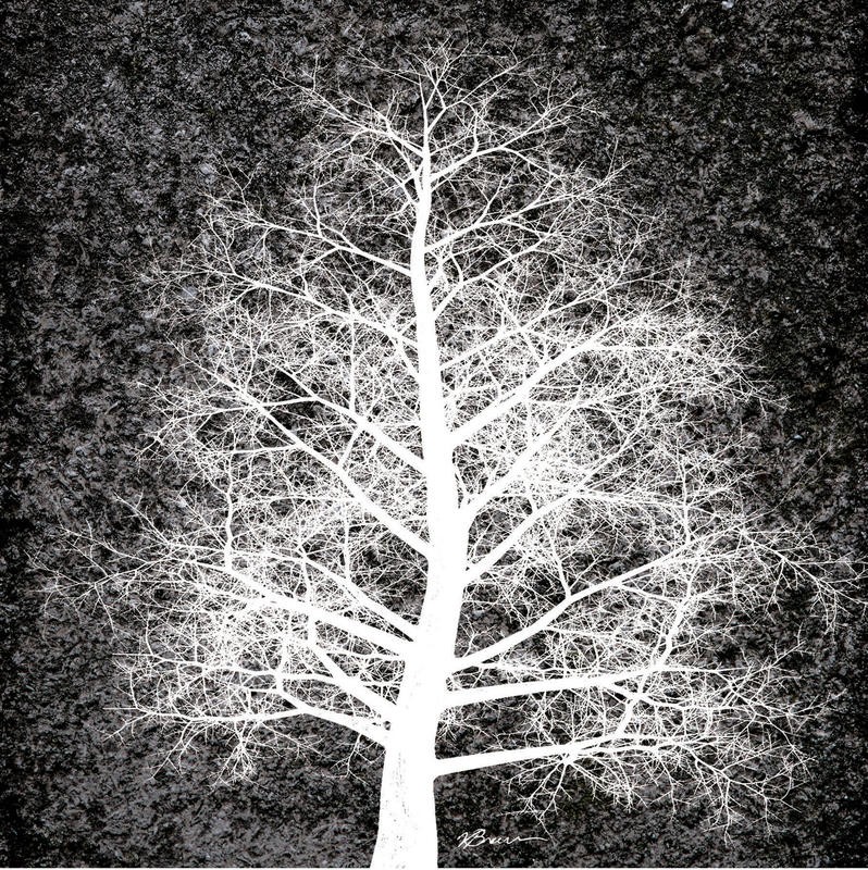 Victoria Brown, NORDIC SPIRIT II (Baum, kahl, Äste, Geäst, knorrig, düster, gespenstig, Wunschgröße, Wohnzimmer, schwarz/weiß)